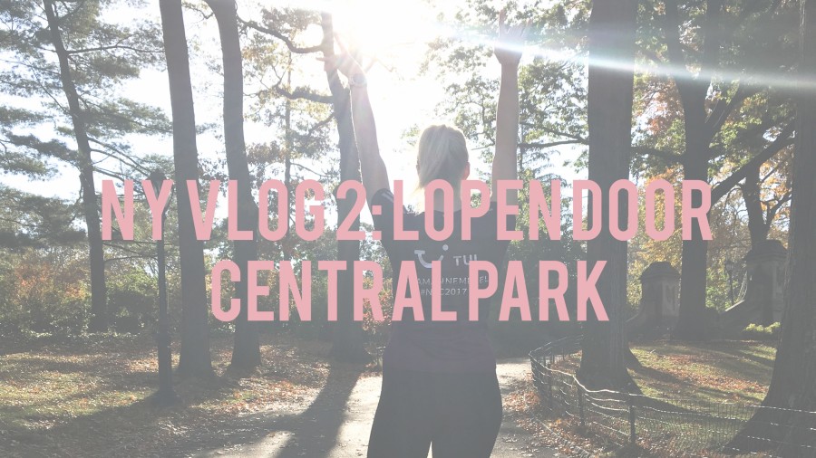 NY VLOG 2: Lopen door Central Park